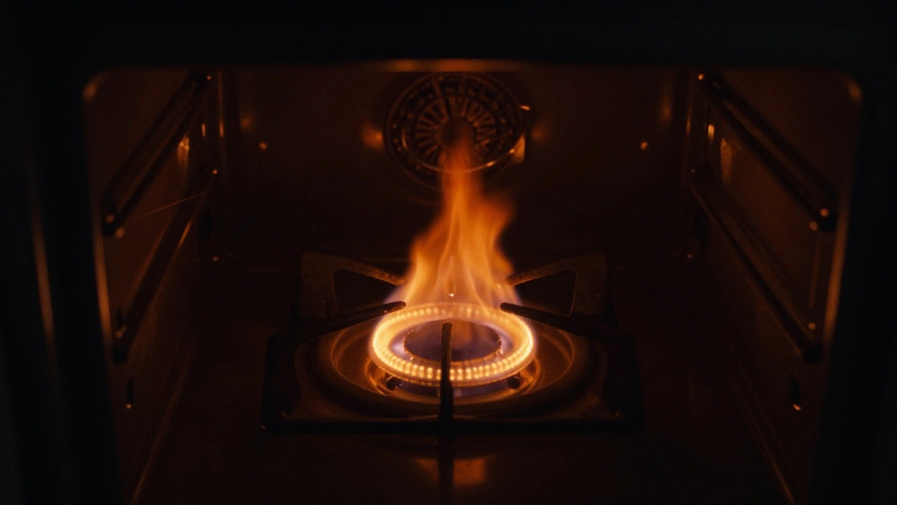 What Are the Symptoms of a Bad Gas Oven Igniter?